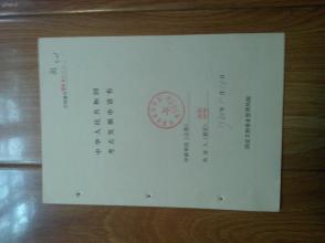 《洛陽隋唐城東城考古發掘申請書 一份珍貴的考古文獻與文物保護歷程》